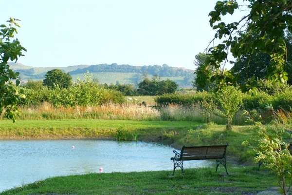 view of the orchard carp lake from Chestnut Cottage